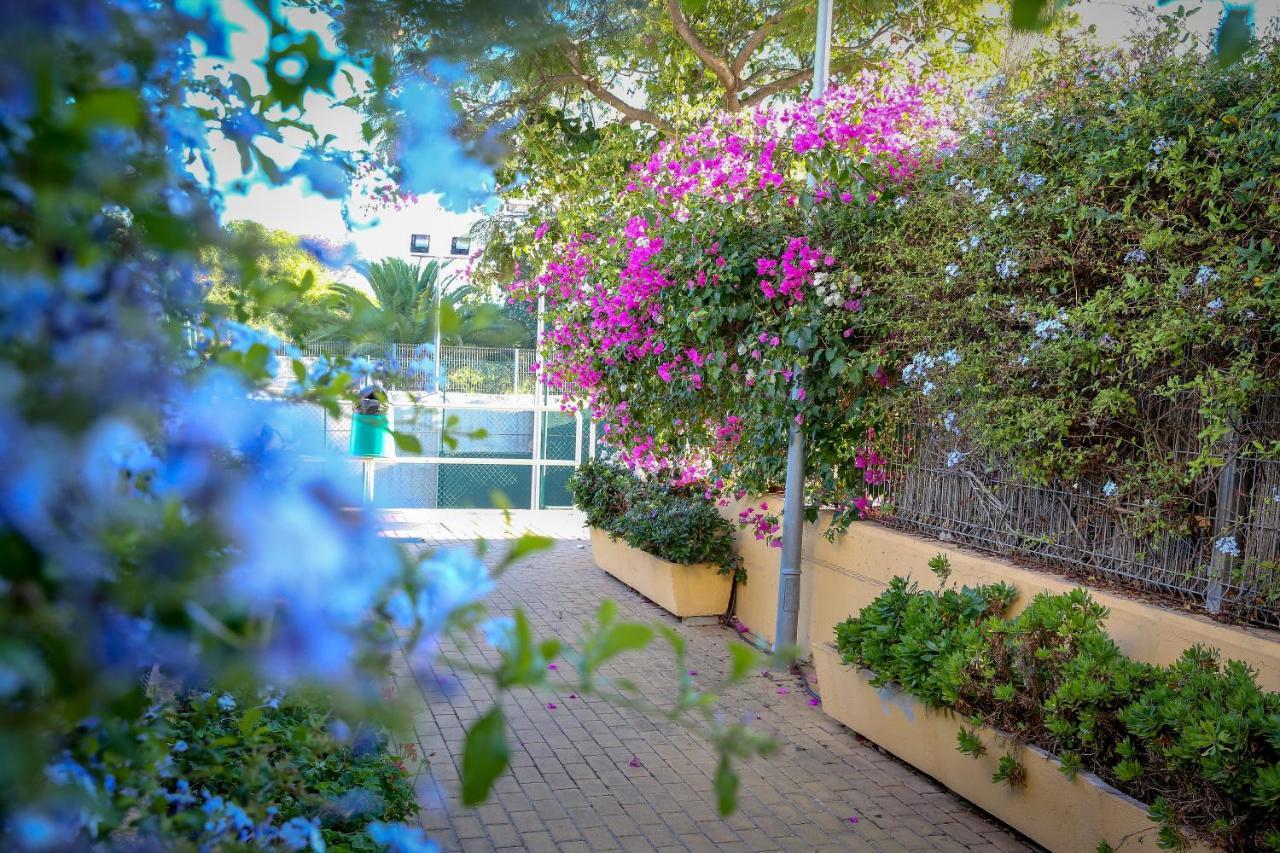 Montesol Home - Parking Gratis Ayamonte Kültér fotó